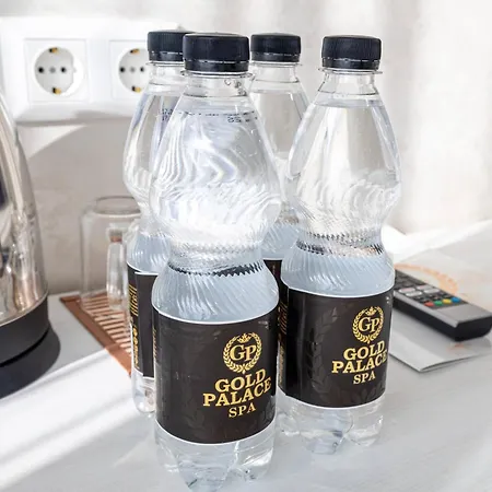 Отель Gold Palace Wellness & 2*
