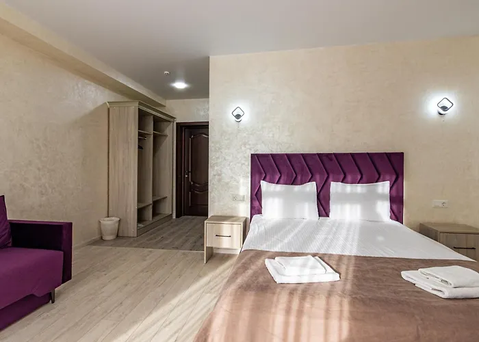 Gold Palace Wellness & 酒店 布克维